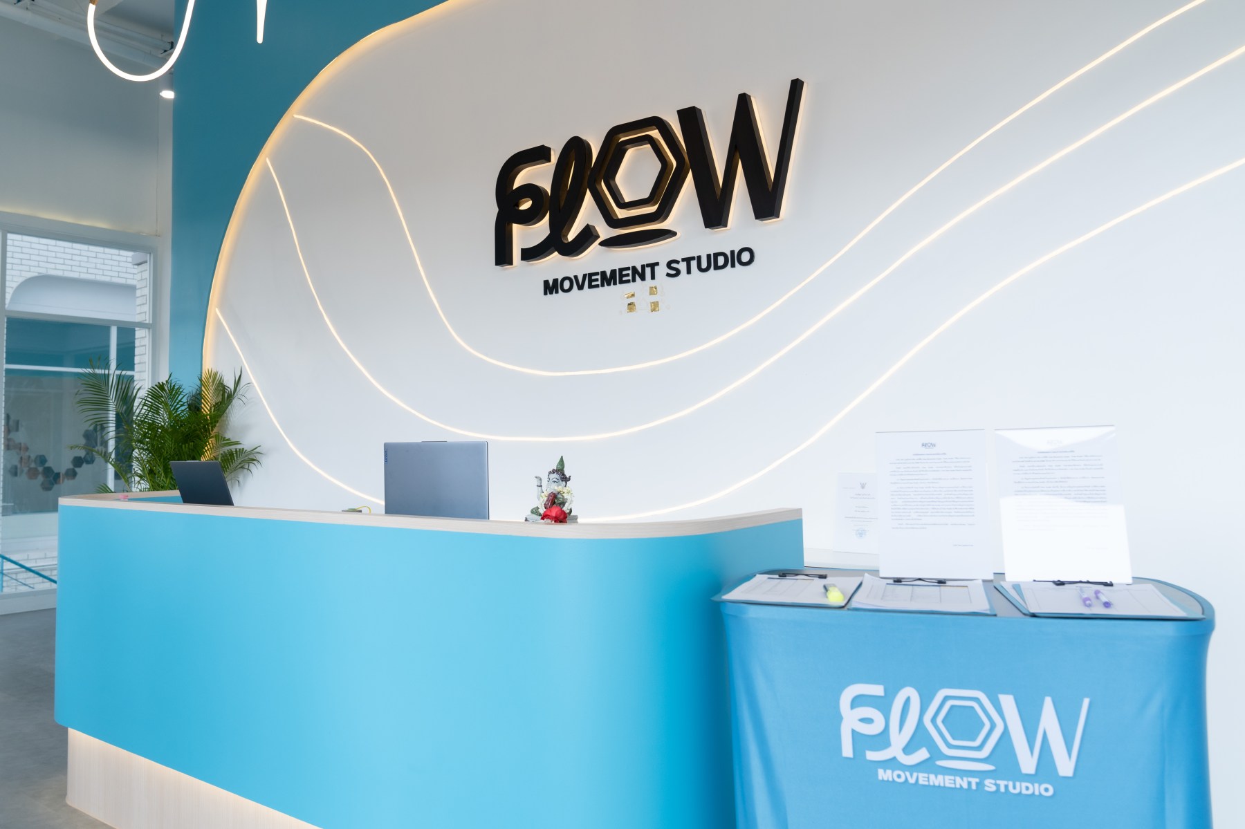 Flow Movement Studio – Join us in the newest multi-exercise community ...